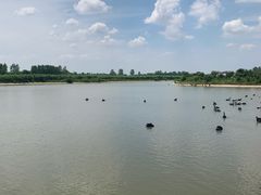 -池杉湖湿地公园