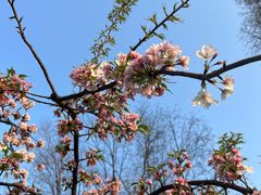 -玄武湖景区-情侣园游乐场