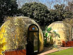 -百味地锅鸡(二店·财校分店)