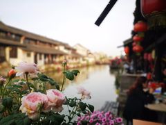 -长廊好灶头 本地人农家菜(枫泾古镇店)