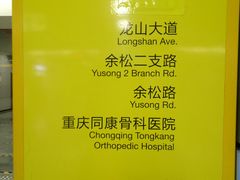 -大龙山(地铁站)