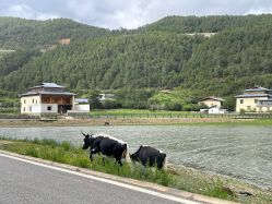 -纳帕海依拉草原