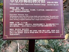 -成都杜甫草堂博物馆