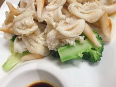 辣根鸟贝-鲁前海沿儿