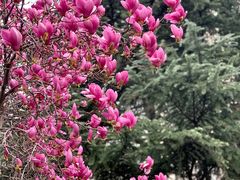 -木塔寺遗址生态公园