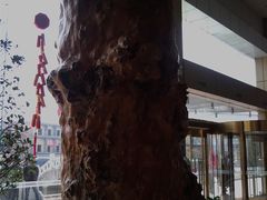 8知道是什么树-龙凤山庄(永定镇店)