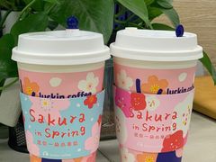 -瑞幸咖啡(星河WORLDCOCOPark店)