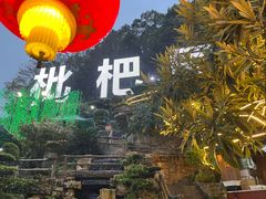-枇杷园食为鲜火锅(南山店)