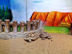 -华夏文旅海洋公园