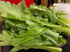 茼蒿-裕德孚·非遗手切涮羊肉(东直门内大街店)
