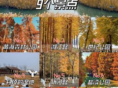 -黄海国家森林公园