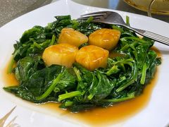 豆苗炒带子-新加坡泰园村酒楼直营(新华路店)