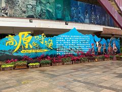 -云南民族村
