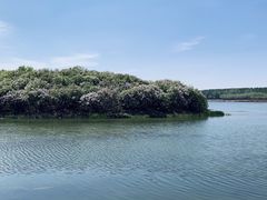 -丁香湖公园