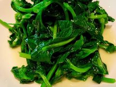 五粮液嫩豆苗-玫瑰厅上海菜(兴国路店)