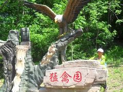 -哈尔滨北方森林动物园
