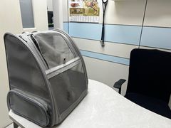 -中农国际动物医院24小时·猫科·骨科·急重症中心