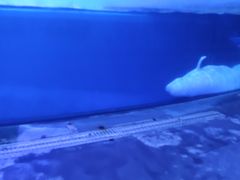 -荣誉国际酒店-云顶旋转餐厅