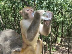 -黔灵山公园-南门售票处