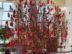 -深圳大梅沙京基洲际度假酒店