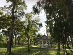 -特克斯八卦城