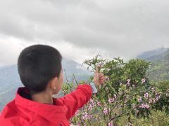 -青芝山风景名胜区