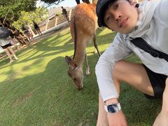 -奈良公园