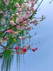 -玄武湖景区-情侣园游乐场