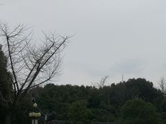 -贵阳市花溪国家城市湿地公园