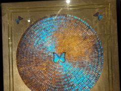 -上海昆虫博物馆