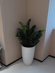 点击看大图 -广东韩妃整形外科医院