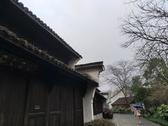 -西溪国家湿地公园