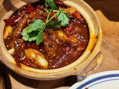 -福苗小骆驼烧烤(太奥广场店)