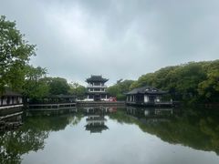-贡湖湾湿地公园