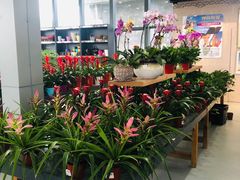 -南通洲际绿博园