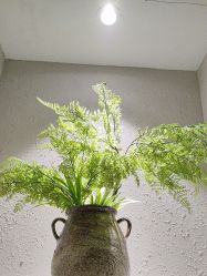 -香秀空间科技抗衰·美容中心