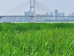 -汉口江滩-江滩观星台