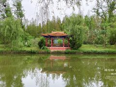 -日照海滨国家森林公园