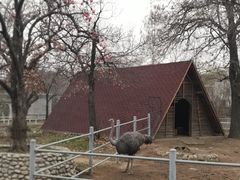 -西安秦岭野生动物园