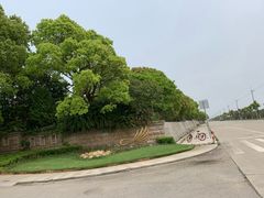 -棕榈滩海景高尔夫俱乐部