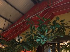 -和源祥·日照菜扛把子(万平口一店)