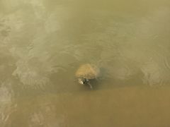 -云溪植物园