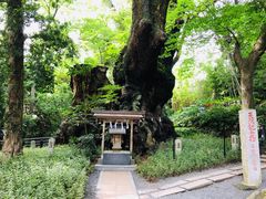 -来宫神社