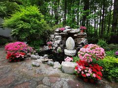 -上海醉白池公园