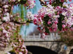 -海棠花溪(元大都城垣遗址公园)