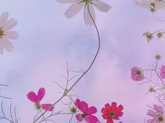 -南京钟山宾馆(江苏省会议中心)