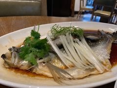 -宁波柏悦酒店·钱湖渔港
