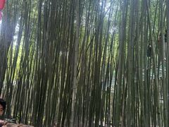 -竹泉村旅游度假区