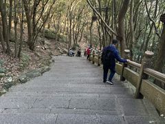 -普陀山风景区-佛顶山