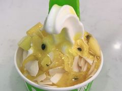 -Salud撒露欧洲冻酸奶(五道口购物中心店)